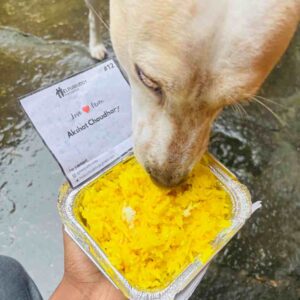 Feed a Stray Dog ( 35/ dog )