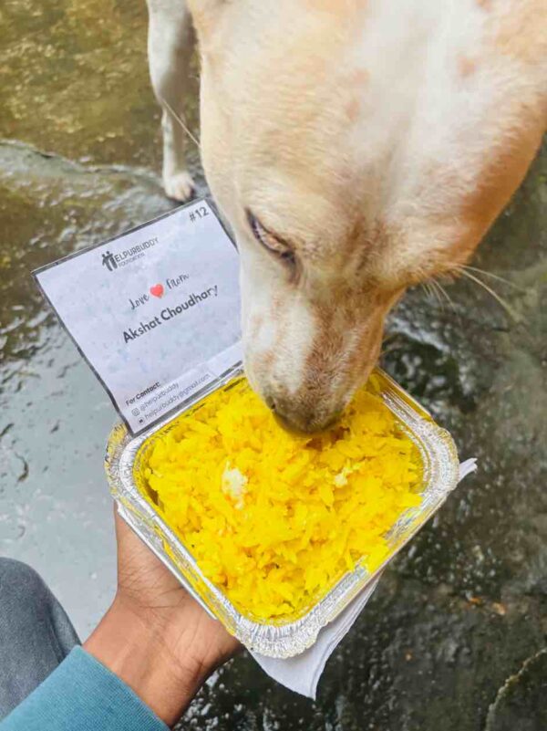 Feed a Stray Dog ( 35/ dog )